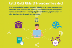 Skjermdump av BEUC sin oversikt over opphavsbeskyttet materiale.Grafikk.