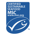 MSC-logo.Foto