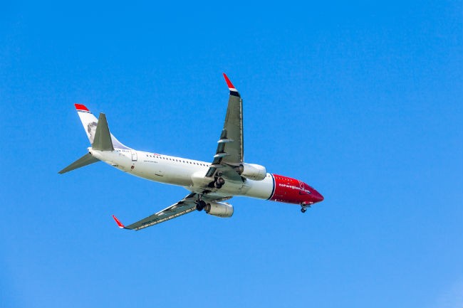 Fly i luften.Foto